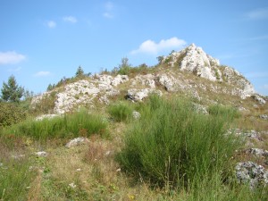 Wycieczki gazikami